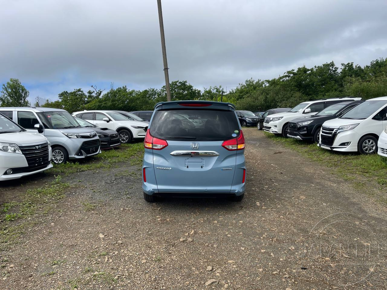Фото Honda Freed+ - Japan Life 
