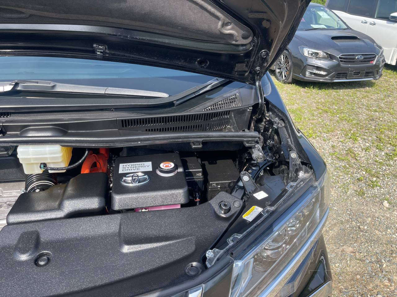 Фото Toyota Alphard - Japan Life 