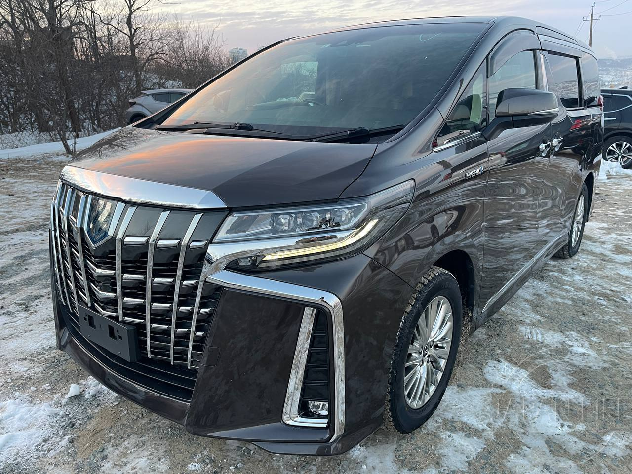 Фото Toyota Alphard - Japan Life 