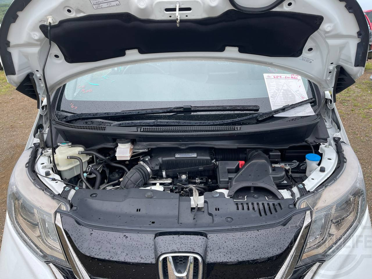 Фото Honda Stepwgn - Japan Life 