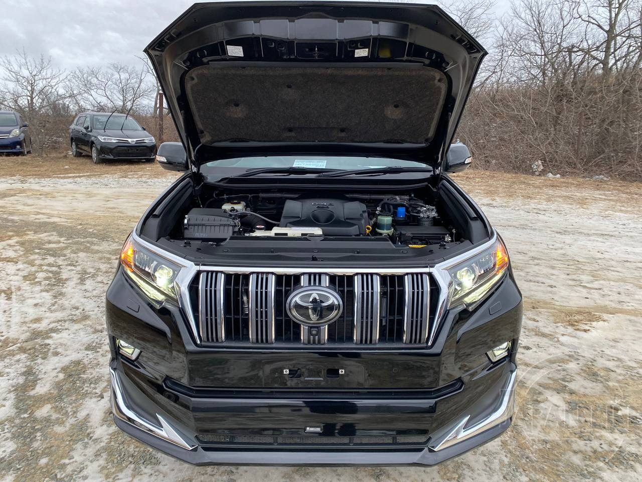 Фото Toyota Land Cruiser Prado - Japan Life 