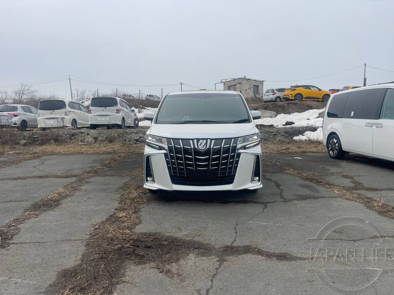Фото Toyota Alphard - Japan Life 